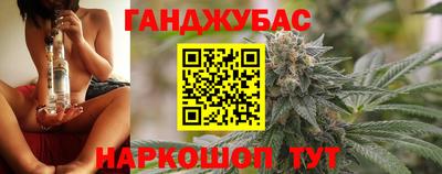 амф Камышлов