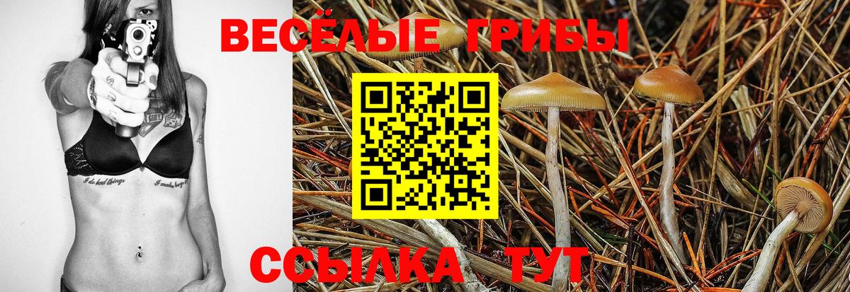 Псилоцибиновые грибы Magic Shrooms  Вход с VPN  Галлюциногенные грибы Psilocybine cubensis  Владимир 