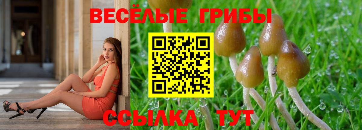 Галлюциногенные грибы мицелий Владимир